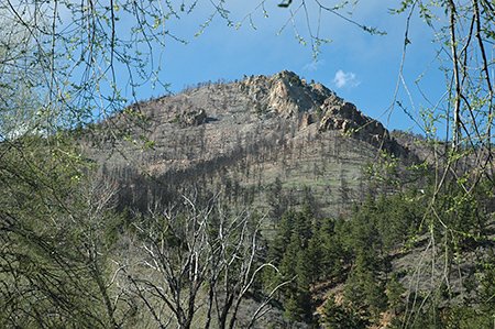 art_site_006_mt_porphory_after_fire